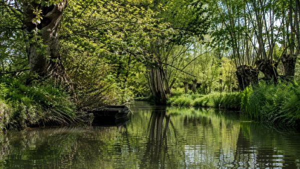 Pourquoi visiter la Venise verte et profiter de la nature préservée ?